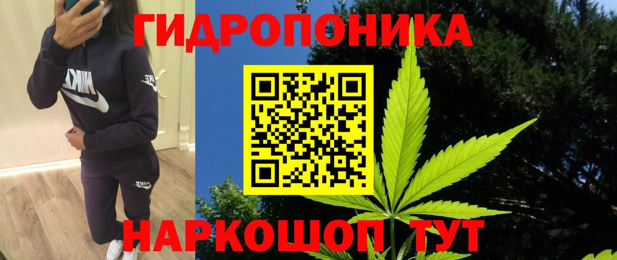 Кузнецк  Конопля LSD WEED  Бошки Шишки тримм  Бошки марихуана ГИДРОПОН  Вход с VPN 